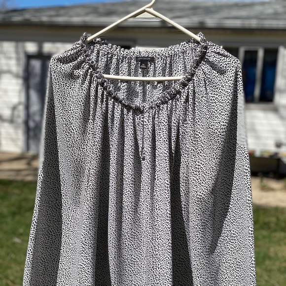Ann Taylor XL sheer long sleeved blouse - Picture 1 of 3